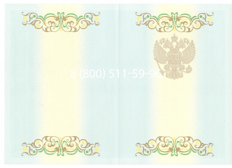 Купить Диплом бакалавра 2012-2013 годов в Артёме Купить Диплом бакалавра 2012-2013 годов в Артёме