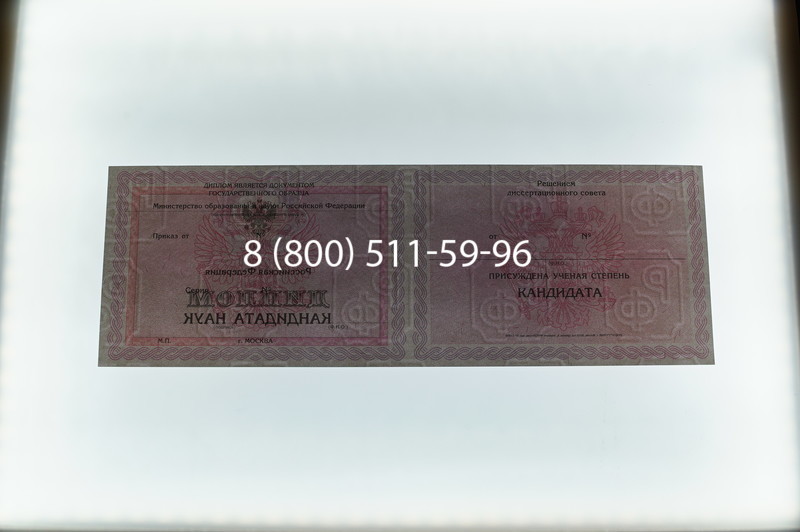 Заказать Диплом кандидата наук 2010 в Артёме