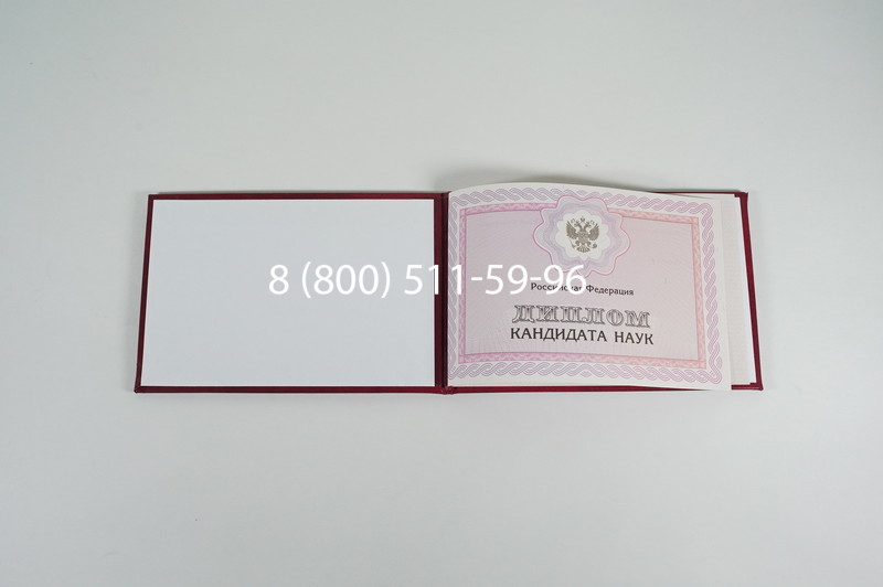 Заказать Диплом кандидата наук 2010 в Артёме