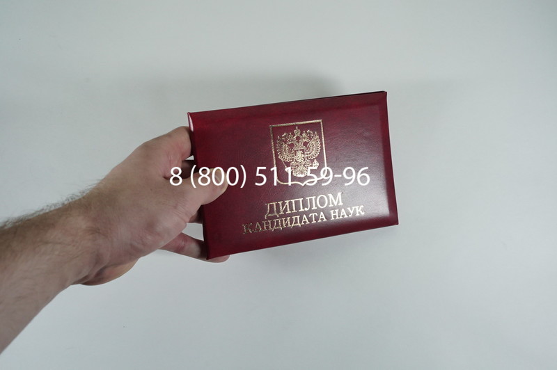 Диплом кандидата наук 2010 в Артёме