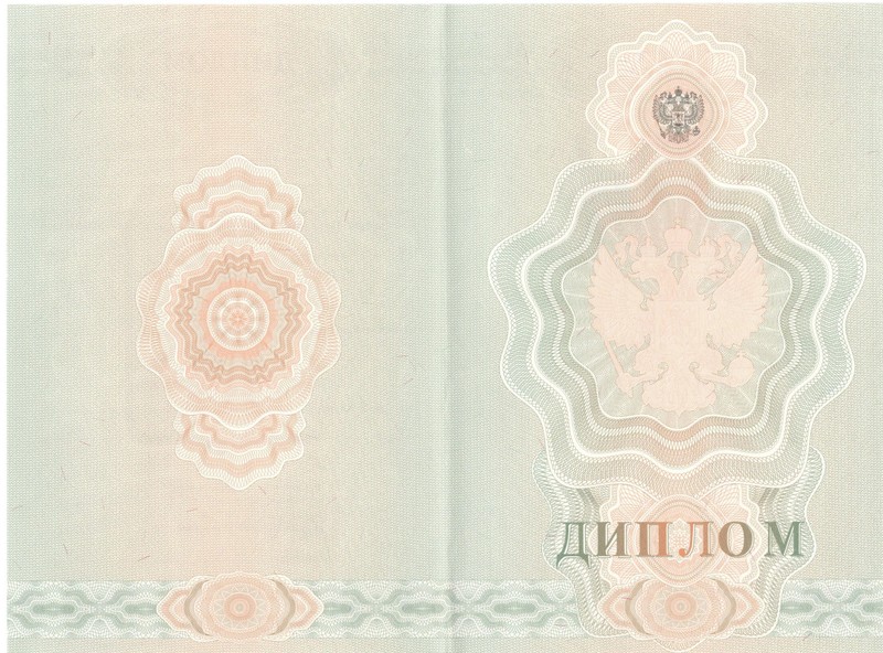 Купить Диплом о начальном образовании 2007-2009 годов в Артёме Купить Диплом о начальном образовании 2007-2009 годов в Артёме