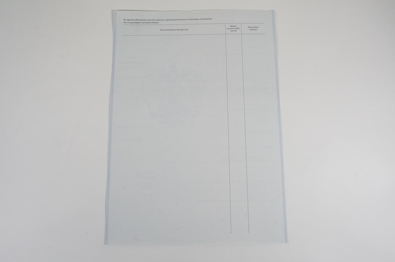 Диплом о начальном образовании 2007-2009 годов в Артёме Диплом о начальном образовании 2007-2009 годов в Артёме