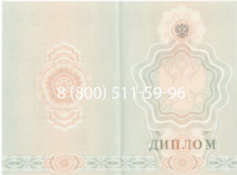 Купить Диплом училища 2007-2009 годов в Артёме Купить Диплом училища 2007-2009 годов в Артёме